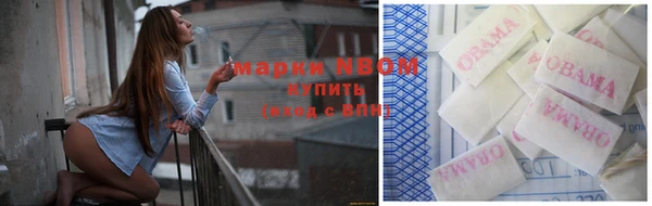 мет Ельня