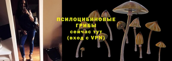 Альфа ПВП Елабуга