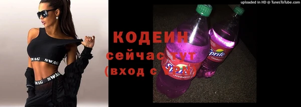 молекула духа Дмитров