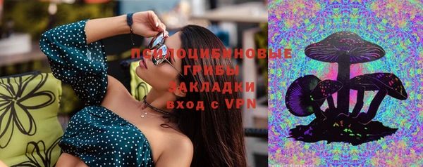 Альфа ПВП Дмитриев