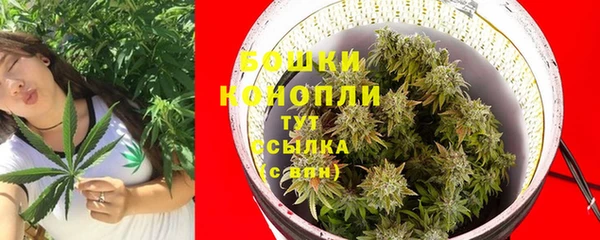 Альфа ПВП Дмитриев