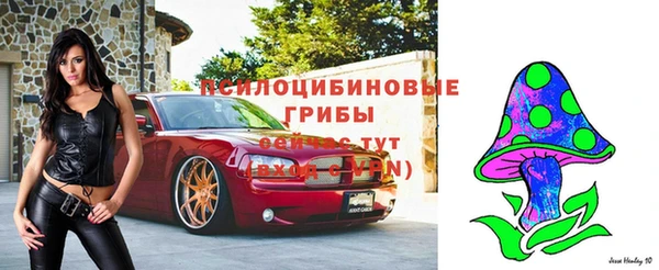 spice Дмитровск