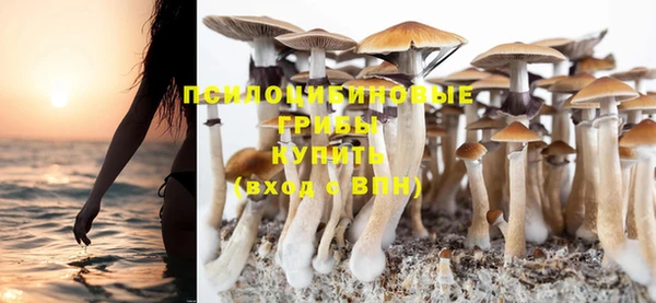 альфа пвп Елизово