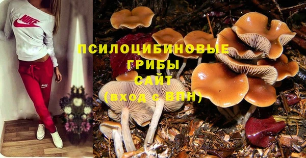spice Дмитровск