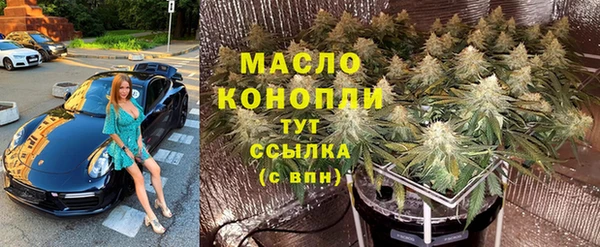 молекула духа Дмитров