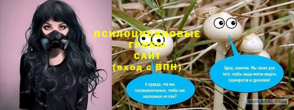 Альфа ПВП Елабуга