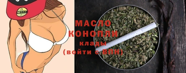 мет Ельня